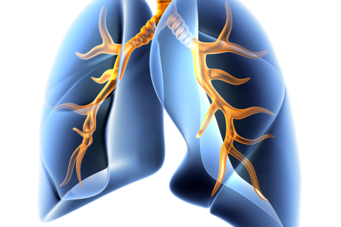 Pneumologie